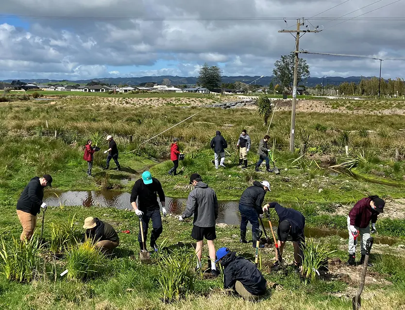 Team outdoor tree planting activity
