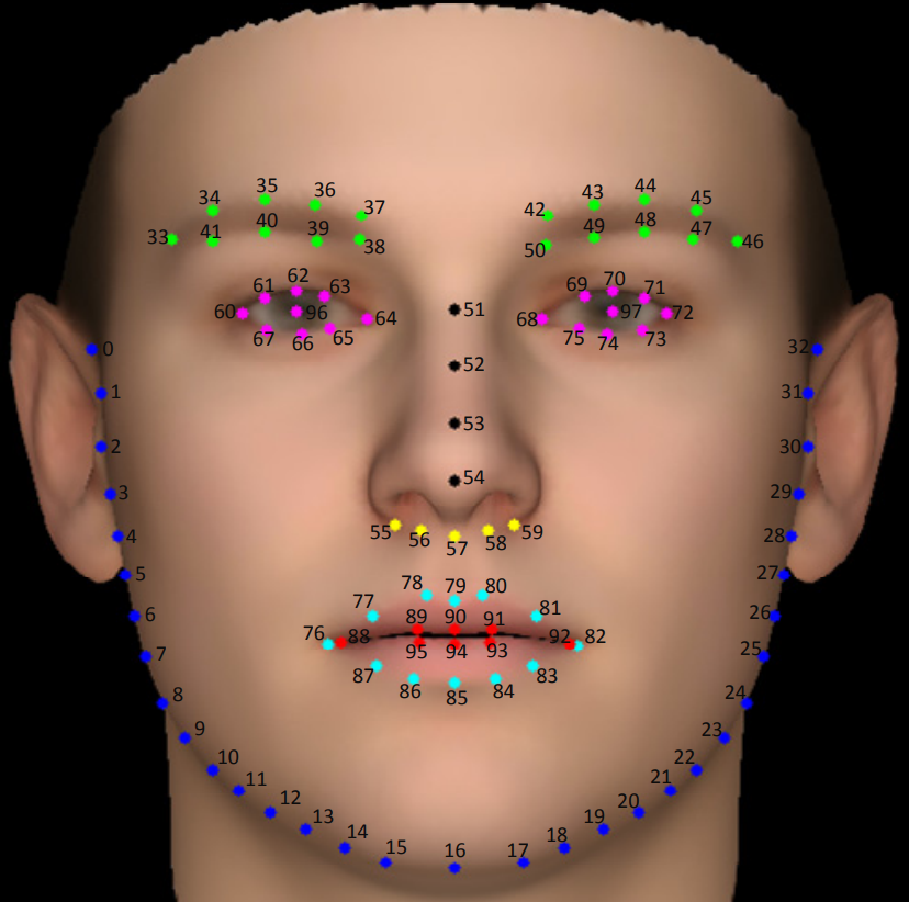 Facial Landmark Detection