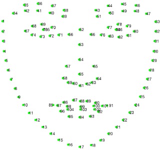 LaPa/JD 106-landmark facial scheme