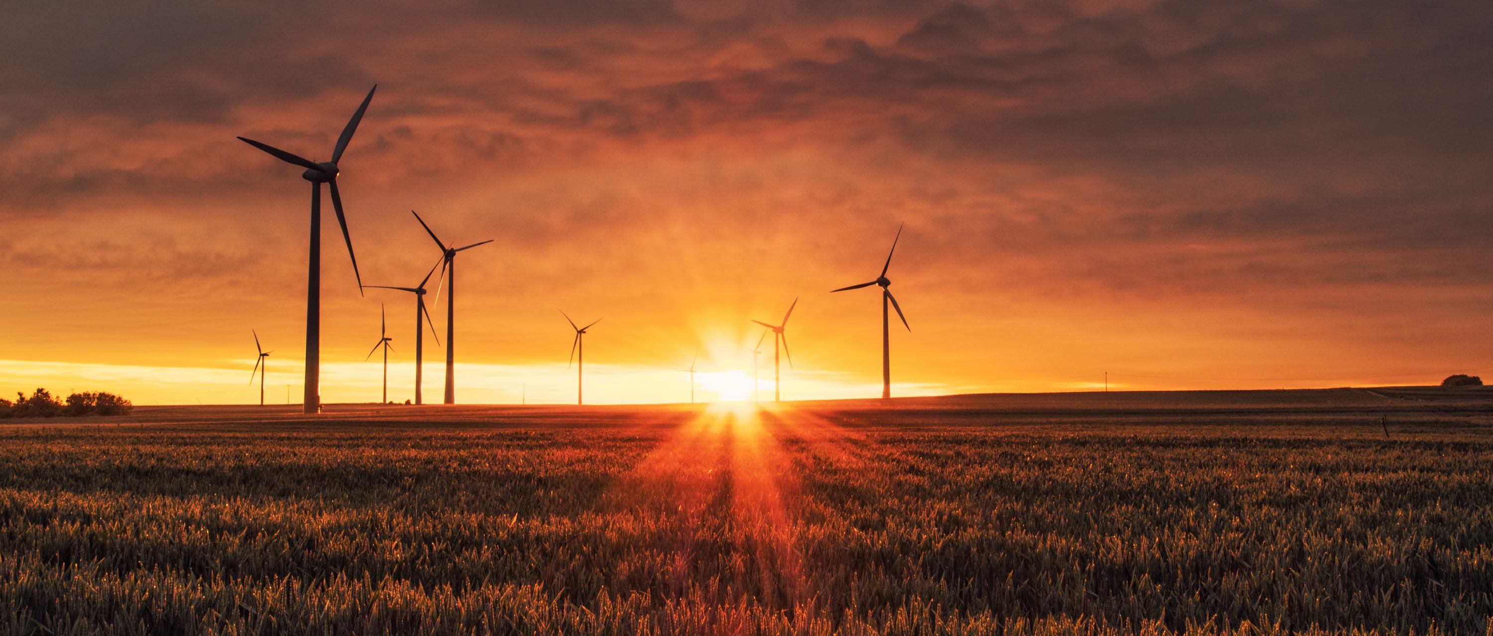 Becoming a Sustainable Business